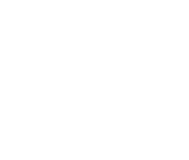 What are Micro LLMs ?